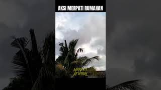 Aksi merpati rumahan puying di hari ke 2 masih stabil merpati merpatitinggi [upl. by Natale]