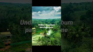 pachai niramay love whatsapp status [upl. by Cynthy]