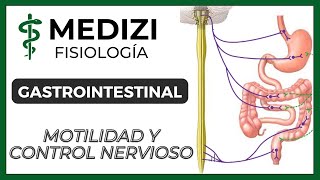 Clase 43 Fisiología Gastrointestinal  Motilidad y Control Nervioso IGdoctorpaiva [upl. by Quar]