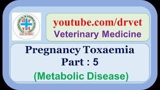 Pregnancy Toxaemia Part 5 [upl. by Keelia161]