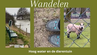 Wandelen de dierentuin [upl. by Lerad]