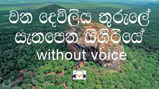 Wana Dewliya Thurule Karaoke Without Voice වන දෙව්ළිය තුරුලේ [upl. by Leachim]