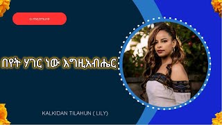 በየት ሃገር ነው እግዚአብሔር Kalkidan Tilahun ቃልኪዳን ጥላሁን ሊሊ  Amharic Lyrics [upl. by Jean-Claude]