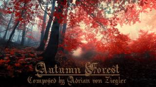 Relaxing Celtic Music  Autumn Forest [upl. by Ninnahc723]