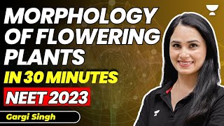 Morphology of Flowering Plants in 30 Minutes with Tricks  16 marks पक्के  NEET 2023  Gargi Singh [upl. by Anwat]