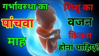 गर्भावस्था का पांचवा महीना  5 Month Pregnancy Baby Weight Pink Glow [upl. by Niwled]