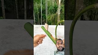 Best bow arrow firing archery diy bamboo toy satisfying magic [upl. by Sethi930]