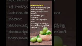 quotEat Amla Daily for These Health Benefitsquot health healthadvice ayurvedtips healthtips ayurveda [upl. by Tyson24]