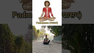 Benefits Of Padmasana  thebharatman yogaposes [upl. by Atiuqrahs]