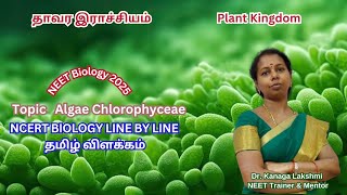 நீட் உயிரியல் தமிழில் விளக்கம் 2025  Topic Algae Chlorophyceae [upl. by Akena861]