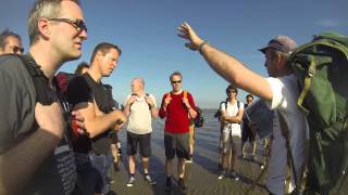 Wadlopen naar Ameland Mudflat hiking to island Ameland [upl. by Enilasor]