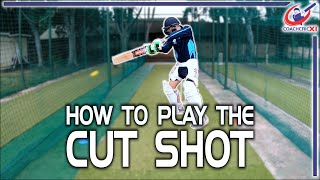 How to play the CUT SHOT  Cut Shot Tutorial and Drills  Cricket Batting Coaching [upl. by Gaughan]