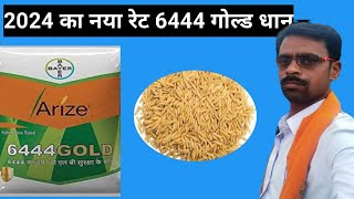 bayer arize 6444 gold dhan 6444गोल्ड का प्राइस6444 gold paddy6444 का नया रेटtheadvancekisan [upl. by Gainer]