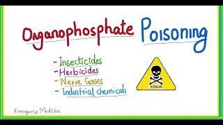 organophosphate poisoning  symptoms emergency management [upl. by Gearalt322]