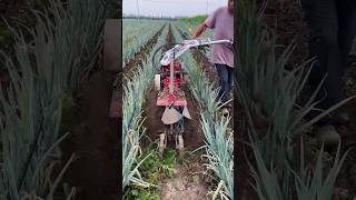 Pyaj ke khet mein kheti karne wali machine 🌾 pyaj machine kheti khedut shorts trending [upl. by Ronna]