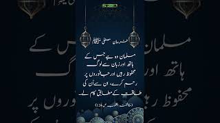 Aqwal e zareen new  beautiful quotes urdu  golden words urdu [upl. by Nairam]