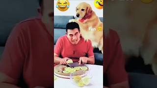 Funny 🐕🤣 jaisa Ko taisa जैसा को तैसा। कुत्ते ने थप्पड़ मारा shortfeed funny funnyclips comedy [upl. by Notwen608]