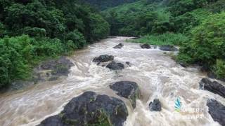 Crecida Rio Toro Negro Ciales [upl. by Head]