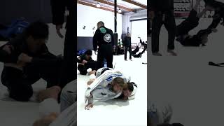 Treino entre Marcus Buchecha x Adam Wardzinski jiujitsu bjj combatsport oss [upl. by Araed]