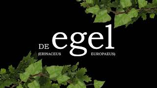 De egel [upl. by Lal183]