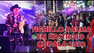 TIGRILLO PALMA EN RASTROJO COPALA 2022 QUINTO VIERNES DE CUARESMA [upl. by Natsirt603]