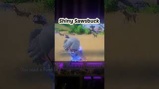 Shiny Sawsbuck pokemonviolet pokemon switchgames sawsbuck [upl. by Hunfredo]