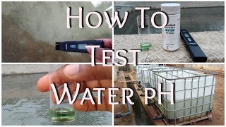 How To Test For Water pH  What To Use  Best pH Level For Fish Farmers [upl. by Orling]