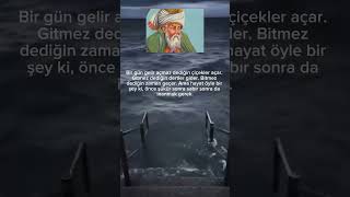 Mevlananın güzel sözleri anlamlıvideolar mevlana anlamlısözler menalisozler sevgi şiir [upl. by Samy]