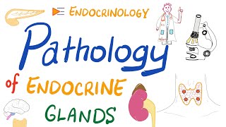 Pathology Basics of Endocrinology [upl. by Gierk727]