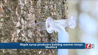 Maple syrup producers battling warmer temps this year [upl. by Anaile927]