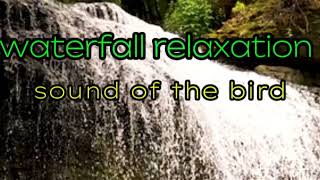 relaxation waterfall and bird sounds in the forest [upl. by Zurc]