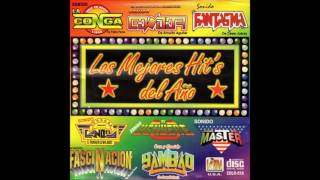 Los Mejores Hits del Ano Disco Completo [upl. by Salchunas]