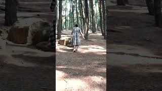 Pine Forest Vagamon keralatourism english funny [upl. by Fauver]