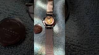 Skagen Watch Battery Change and Tips [upl. by Aciram]