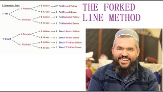 The Forked Line Method Explained An alternative method to Punnett Square [upl. by Edras832]