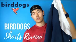 FIRST IMPRESSIONS Birddogs shorts [upl. by Sinoda]