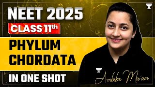 NEET 2025 Phylum Chorddata  Complete Chapter  Ambika Sharma [upl. by Llenahc]