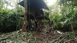 berkemah membangun pondok panggung di hutan belantaraberkemah [upl. by Naivaj138]