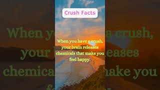 Crush Facts [upl. by Nitsuj]