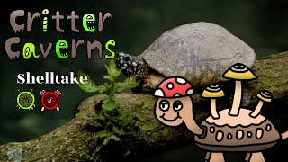 Shelltake  Critter Caverns Individual Sounds [upl. by Merchant368]