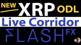 Breaking XRP Update New LIVE OnDemand Liquidity Corridor REAL CRYPTO UTILITY Interview GBPAU [upl. by Clerk]