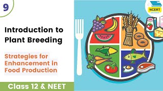 Introduction to Plant Breeding  Strategies for Enhancement in Food Production Class 12 neetbiology [upl. by Lenard]