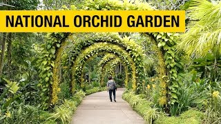 Orchid Paradise National Orchid Garden in Singapore [upl. by Angelis]