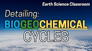 Detailing All The Biogeochemical Cycles [upl. by Aiksas89]