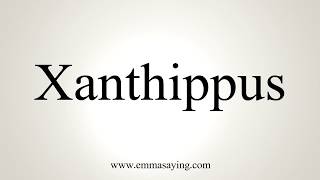 How To Pronounce Xanthippus [upl. by Moulden447]