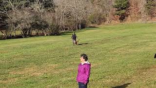 Inka Ot Vitosha American Schutzhund BT Obedience 112424 [upl. by Aihset478]