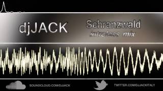 djJack  Schranzwald [upl. by Okoyk822]