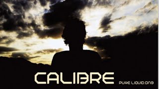 Calibre  Classic Tribute Drum And Bass Mix Vol 2 Pure Liquid No346 [upl. by Aicre]