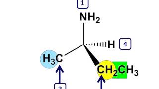 Organic Chemistry  Assigning Priority [upl. by Gottuard75]