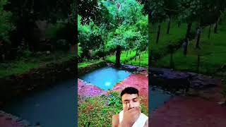 wandoor nature travel reaction greenscreen [upl. by Lenrad]